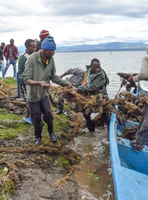 Lake Naivasha’s Beach Management Units Join Forces for a Major Clean-Up Ahead of World Fisheries Day