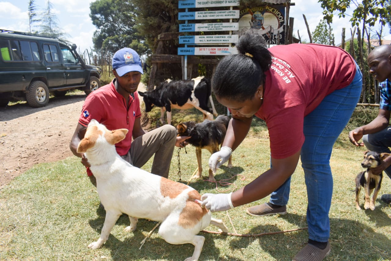 Free Vaccination Against Foot and Mouth Disease and Rabies in Kiptagich Ward, Kuresoi South Sub-county