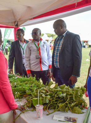 Nakuru County Agriculture Executive Encourages Youth to Explore Agriculture for Economic Growth