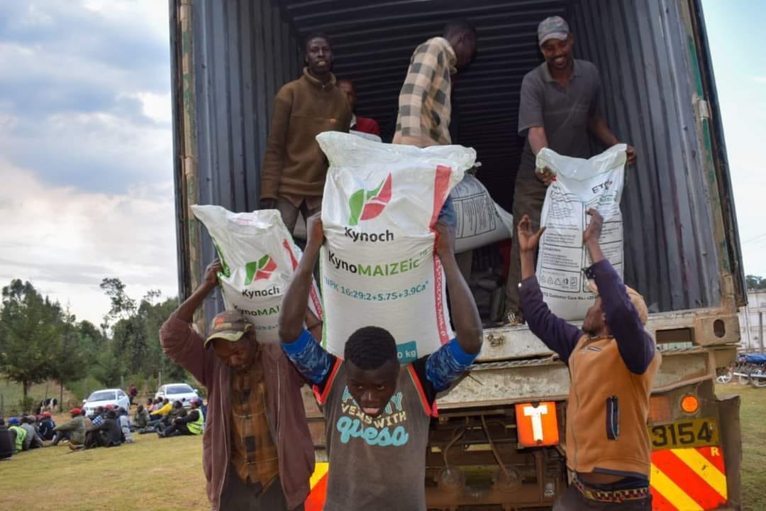 Nakuru County Farmers Flourish as Subsidized Fertilizer Program Bears Fruit